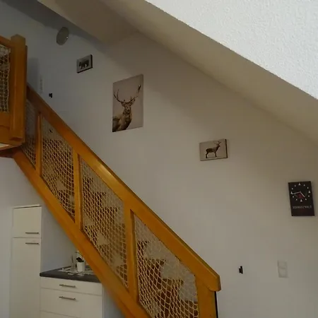 Fewo Todtmoos Apartamento *