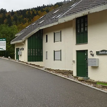 Apartamento Fewo Todtmoos *