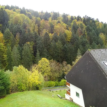Apartamento Fewo Todtmoos *